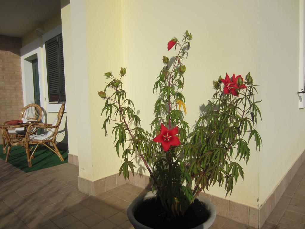 Bed & Breakfast Occhi Di Mare